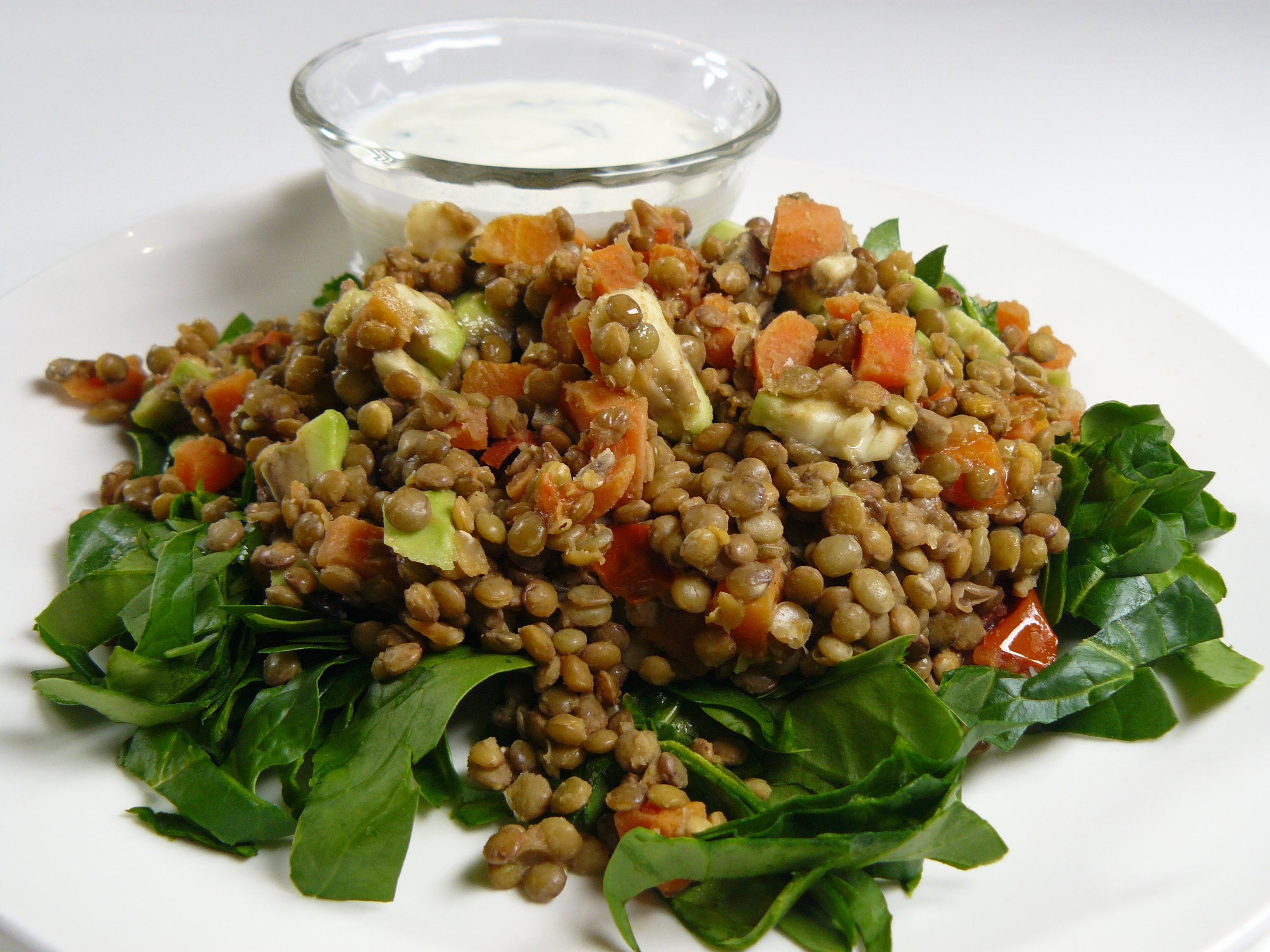 Warm Lentil Salad