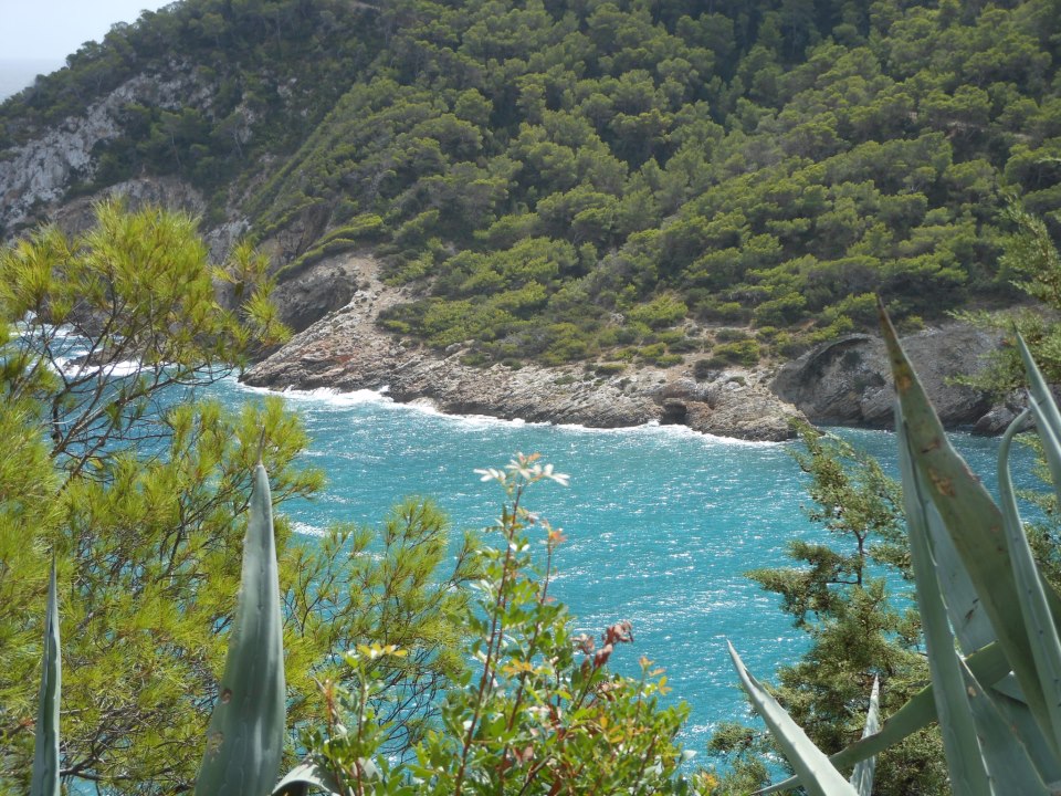 cala llonga