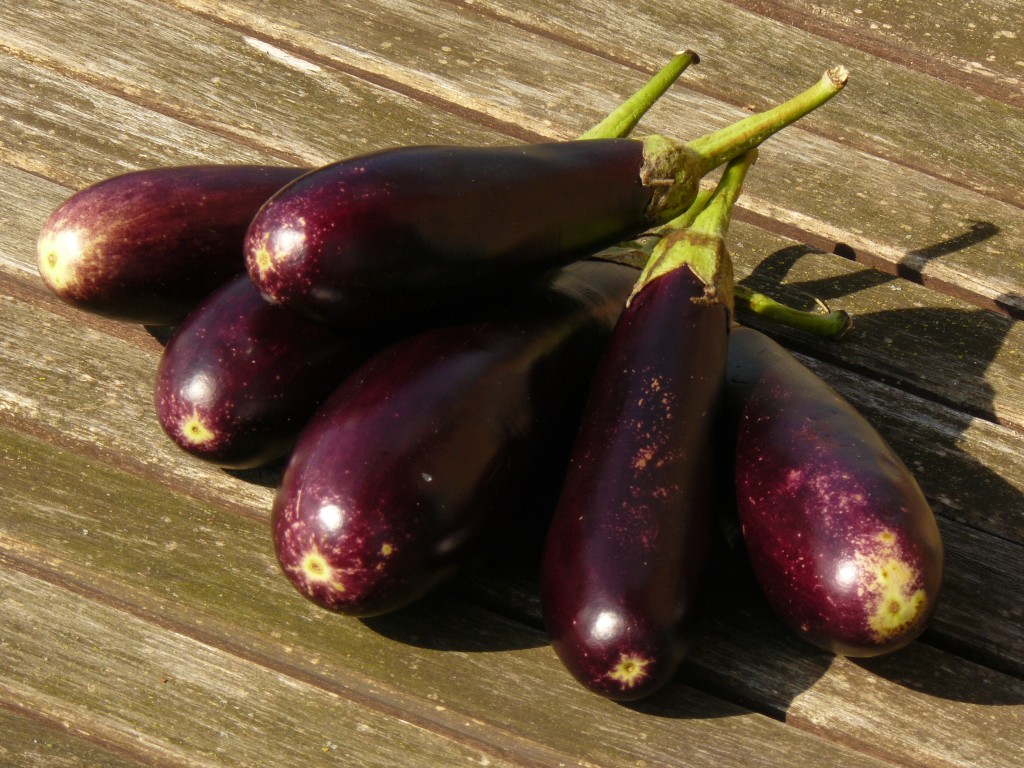 aubergines