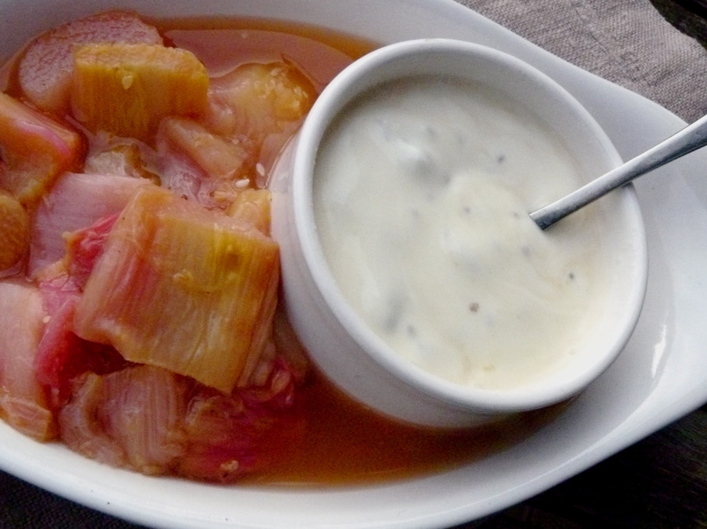 chia seed and rhubarb dessert