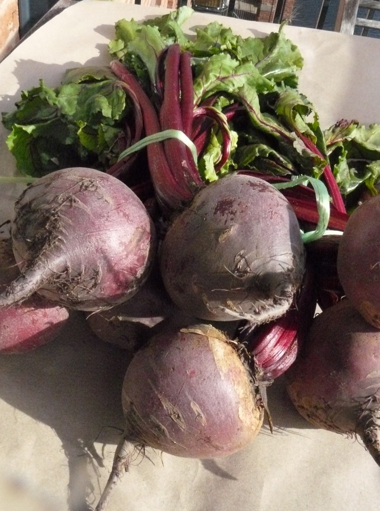 beetroot