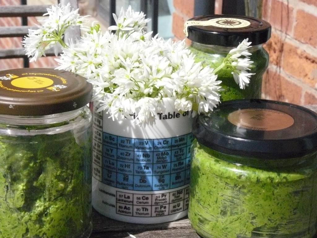 wild garlic pesto