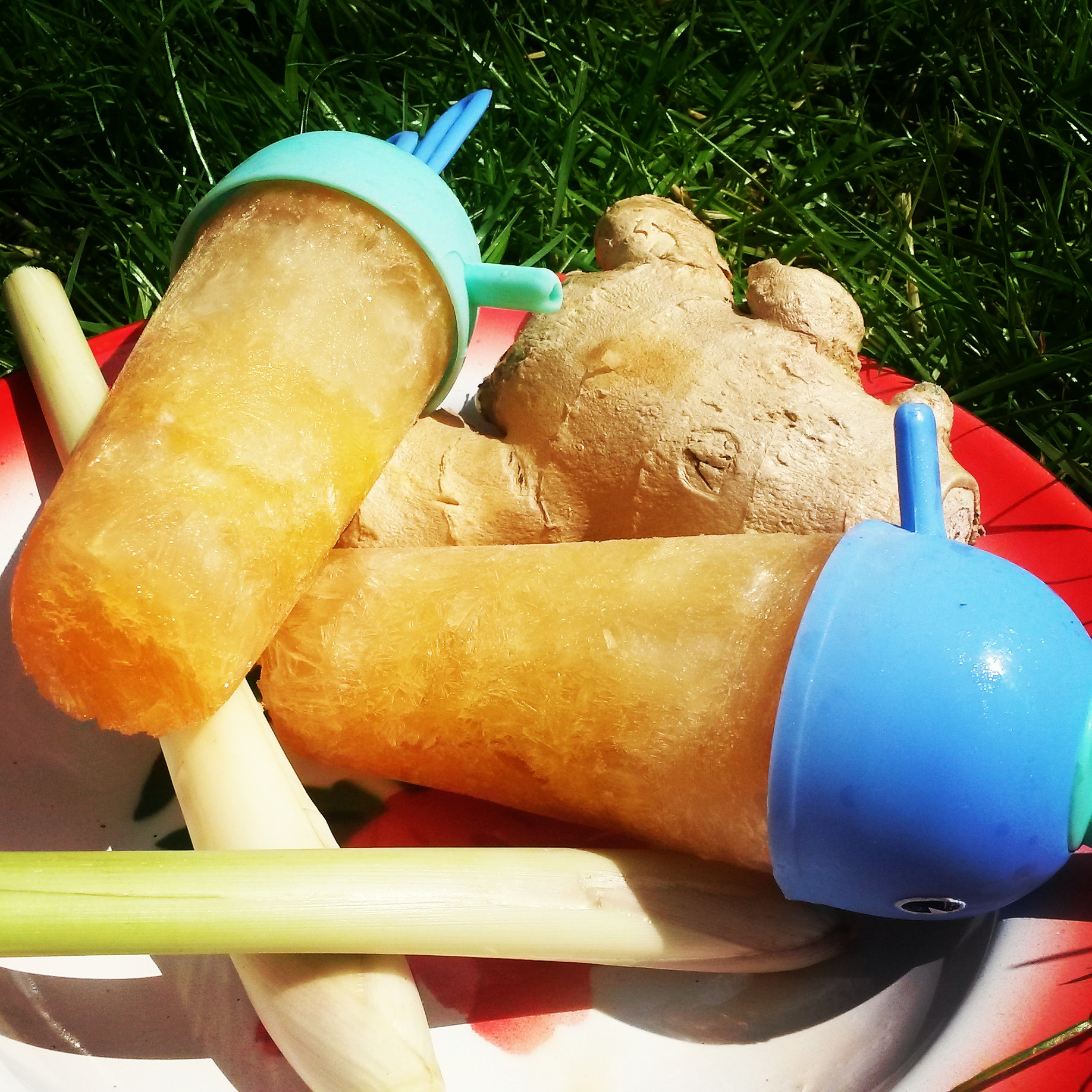 Ginger and Lemongrass Recovery Lollies