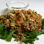 Warm Lentil, Lime and Avocado Salad